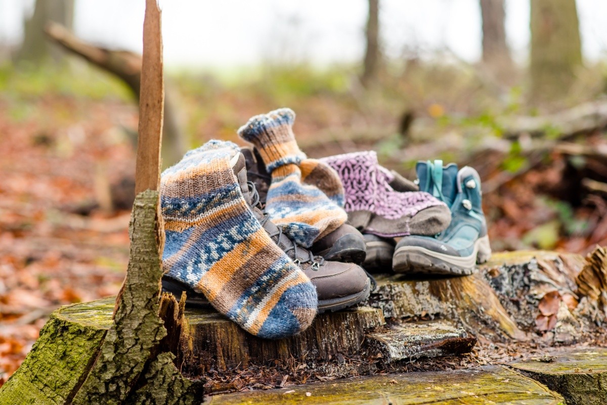 Drei Paar Wanderschuhe mit Wollsocken auf einem Baumstumpf im Wald