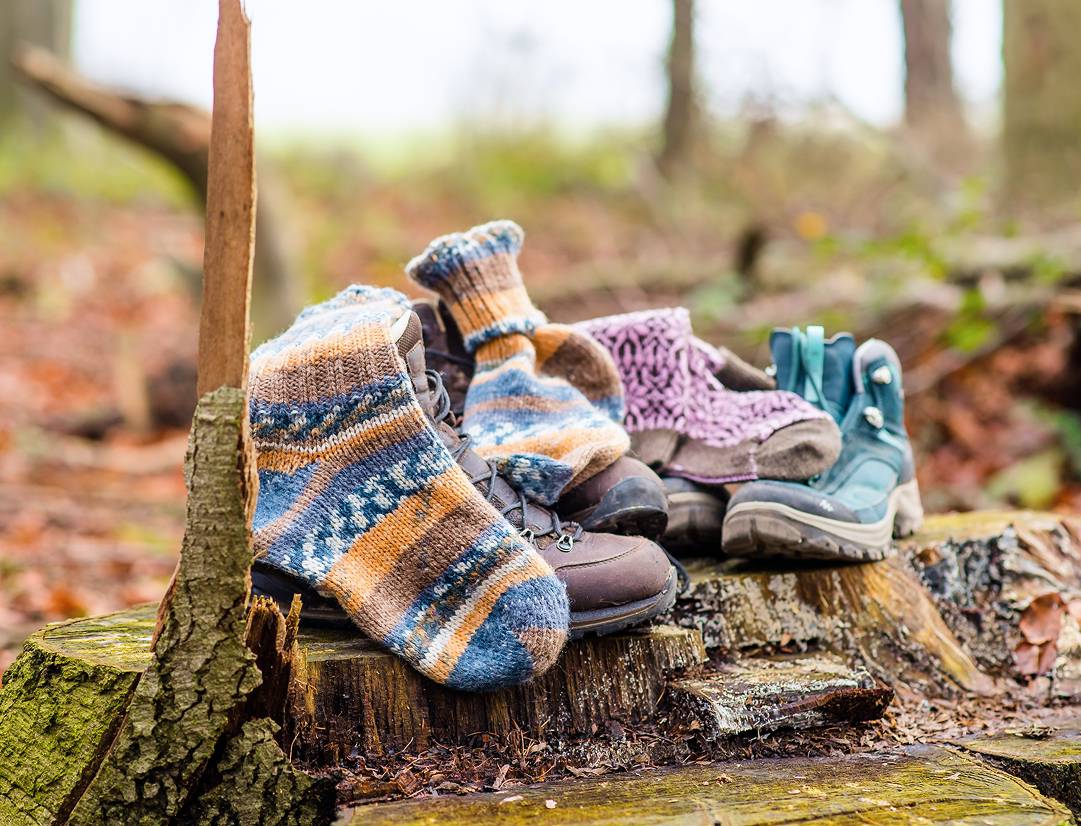 Wanderschuhe und gestrickte Socken auf einem Baumstumpf im Wald